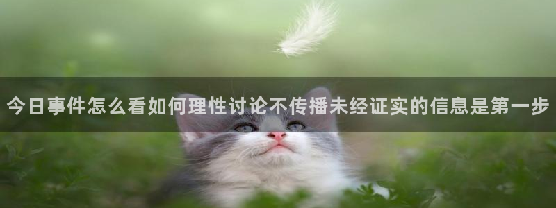 吃瓜网络事件