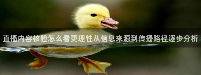 51吃瓜网页导航