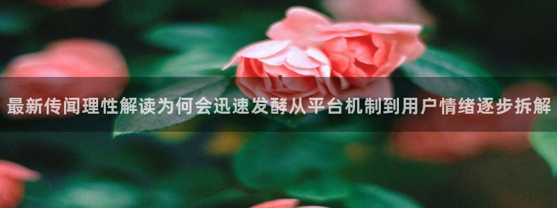 热门事件排行