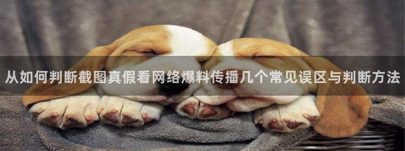 51吃瓜热点榜