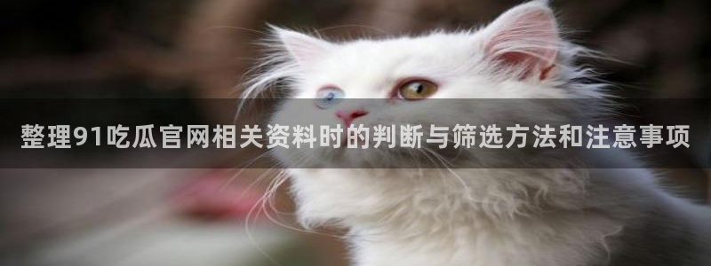 吃瓜网站导航