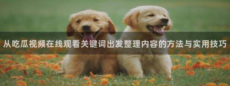 51吃瓜最新事件资讯