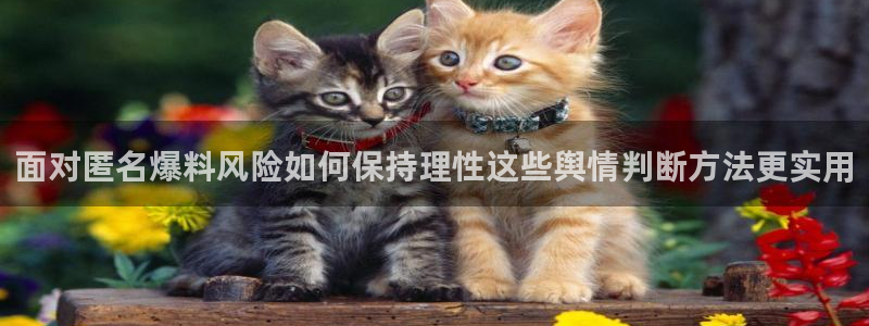 吃瓜每日资讯