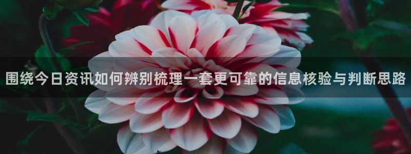 51吃瓜今日动态:围绕今日资讯如何辨别梳理一套更可靠的信息核验与判断思路